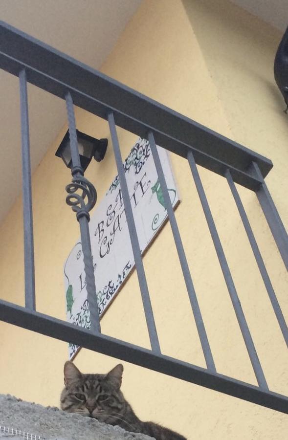 Bed and Breakfast Le Gatte à Eboli Extérieur photo